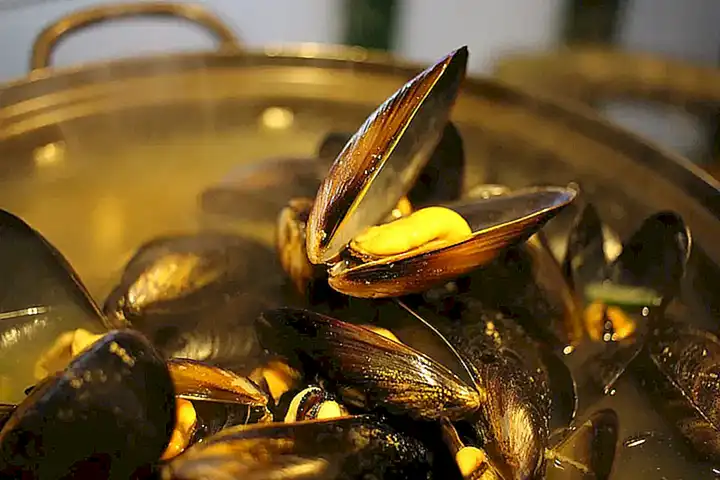 Los mejillones y las almejas son más comunes en las zonas con cultivos de moluscos