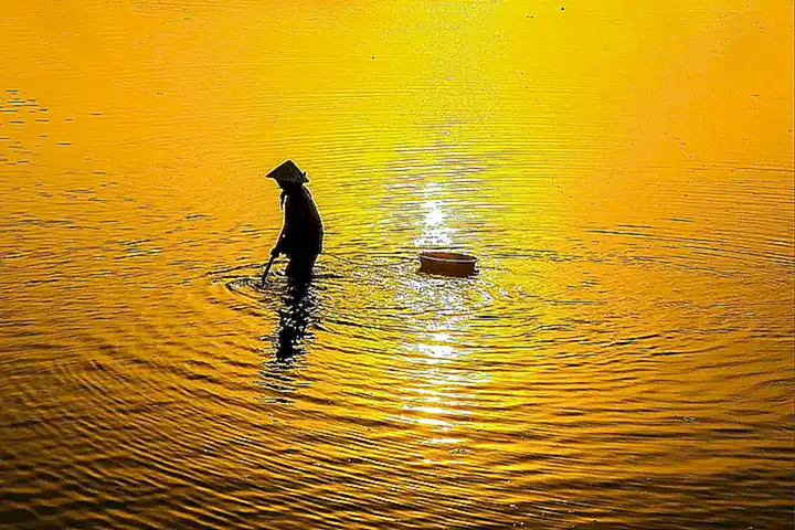 Los pescadores locales a veces venden pulpos frescos directamente desde sus barcos