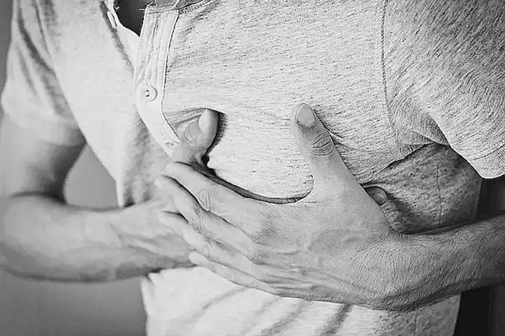Los pulpos pueden regenerar sus brazos si los pierden debido a una lesión o a un ataque de depredadores