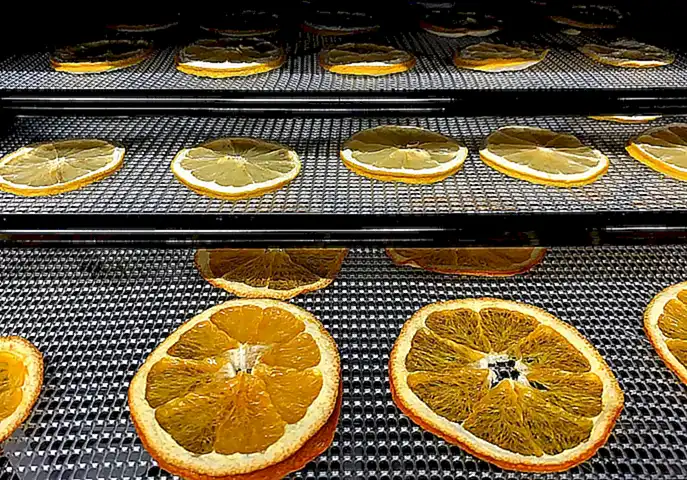 Los pulpos también son capaces de soportar la deshidratación al sellar sus mantos y retener la humedad