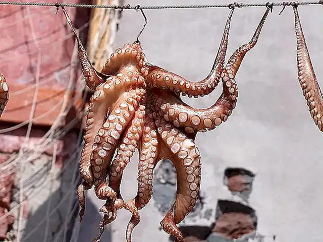 Los pulpos y calamares son otros depredadores que se alimentan de cangrejos