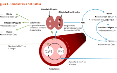 Mal olor en las heces: causas y soluciones por mejillones