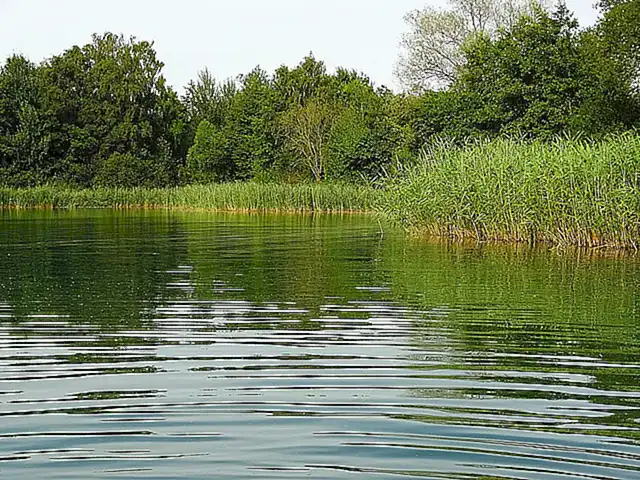 Mantenimiento de la calidad del agua