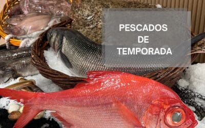 Mariscos de temporada en mayo: ¿cuáles y dónde encontrarlos?