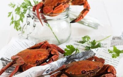 Necora cocida: calorías y alimentación saludable