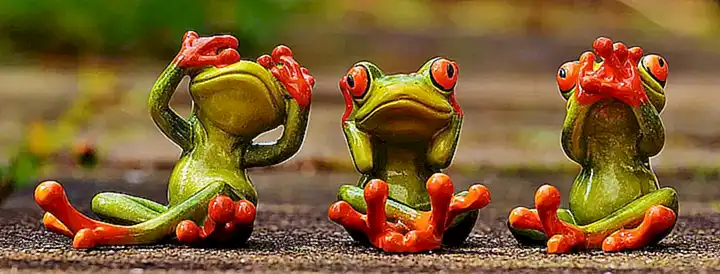 No dar mejillones crudos o en conservas a los niños