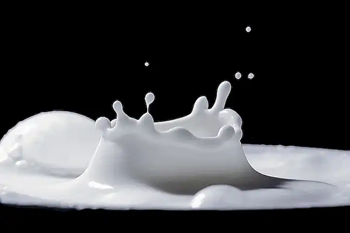 No se recomienda combinar leche y camarones debido a los riesgos de intoxicación alimentaria