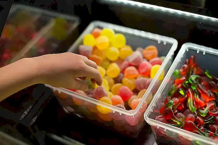 Obtén consejos sobre cómo elegir ostras de calidad en el mercado