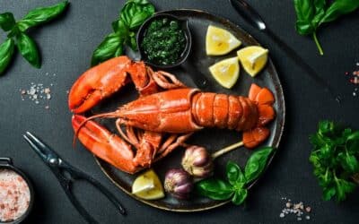 Origen y evolución del término «marisco»: historia y significado