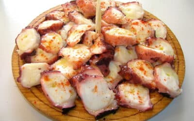 Origen y popularidad del pulpo: ¿De dónde viene y por qué es querido?