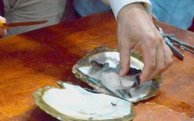 País líder en producción mundial de ostras: descubre la respuesta aquí