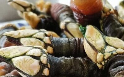 Percebes: tiempo de cocción para obtener el punto perfecto