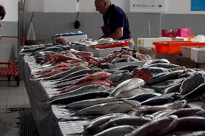Pescaderías locales