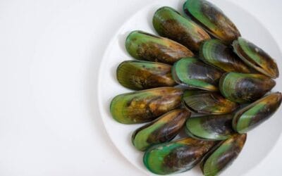 Por qué el mejillón está verde: todo lo que necesitas saber