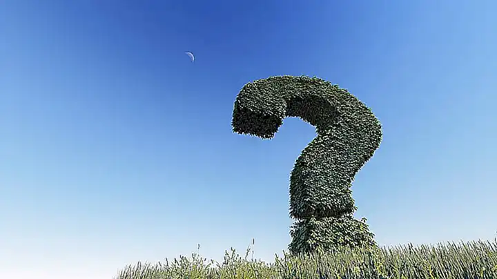 ¿Por qué elegir nuestras ostras?