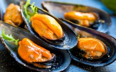 Precauciones al dar mejillones a los niños: Todo lo que debes saber