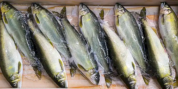 Preguntar a pescaderías o restaurantes de mariscos