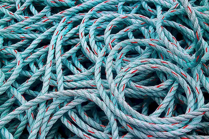Prepara las cuerdas o estructuras donde se colocarán los mejillones