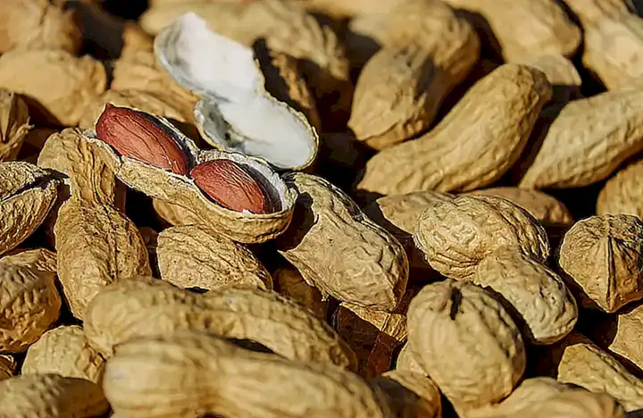 Prepara una deliciosa salsa para acompañar los mejillones sin concha