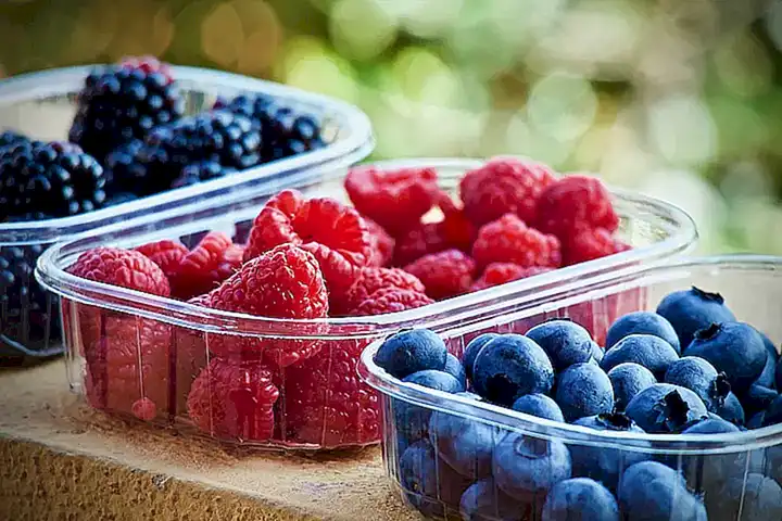 Proporciona una alimentación adecuada