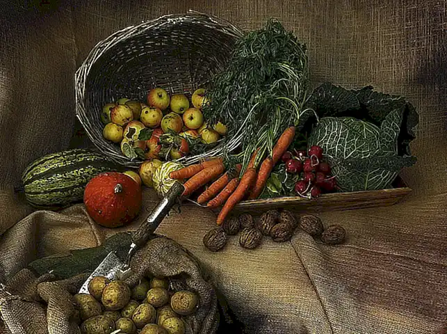 Proporciona una alimentación adecuada