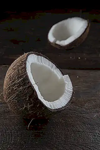 Pueden utilizar herramientas improvisadas para abrir conchas y obtener alimento