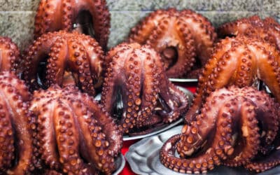Pulpo marroquí: receta tradicional para temporada 1
