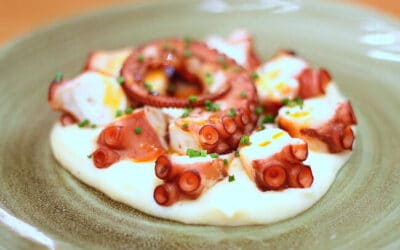 Pulpo precocido: recetas deliciosas y fáciles de preparar