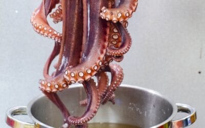 Pulpo tierno vs. pulpo duro: ¿Por qué ocurre al cocinarlo?