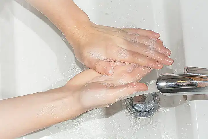 Recuerda lavar bien las cáscaras de mejillones antes de usarlas en tu jardín