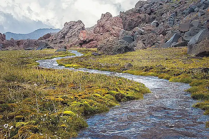 Ríos y arroyos