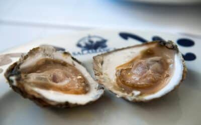 Sabor de las ostras: Descubre el delicioso manjar marino
