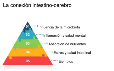 Salud intestinal y calidad de los mejillones: impacto en el intestino
