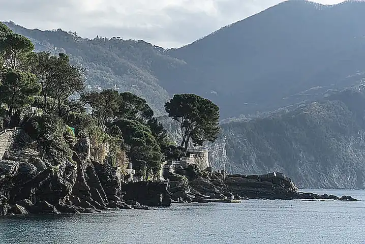 Se recomienda cocinar el pulpo en agua con sal y añadir una cebolla y una hoja de laurel para darle sabor