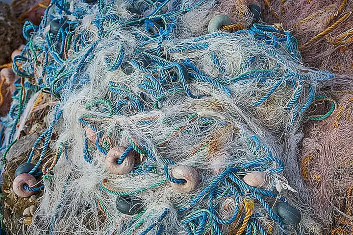 Se recomienda utilizar redes de arrastre o trasmallos para capturar los langostinos de manera efectiva