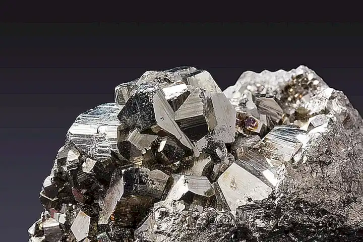 Son una fuente de minerales esenciales como el hierro y el zinc