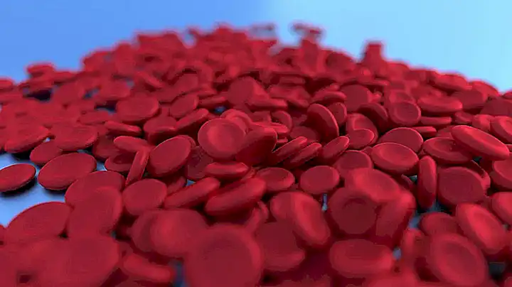 Su alto contenido de hierro ayuda a prevenir la anemia