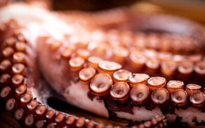 Temperatura ideal para cocinar el pulpo: guía completa