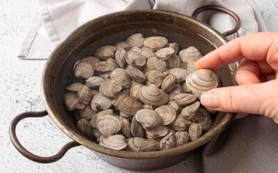 Tiempo de remojo de almejas: ¿Cuánto antes de cocinarlas?