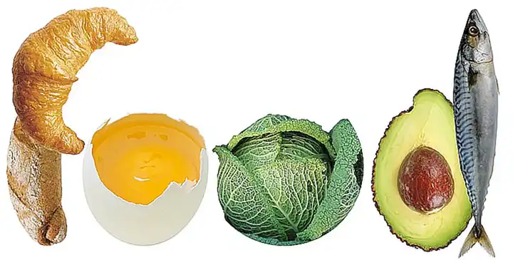 Tienen un sistema de alimentación eficiente para aprovechar los nutrientes del agua