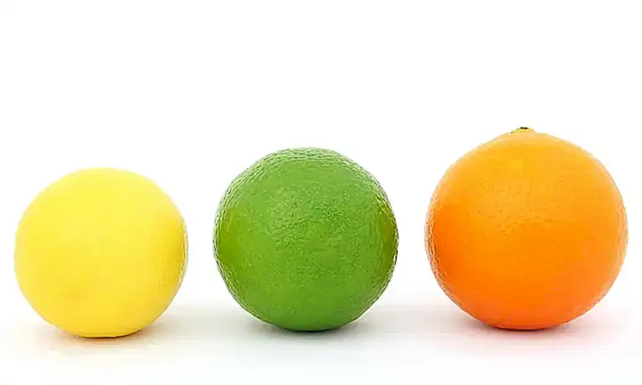 Tienen un tamaño más pequeño y una concha más redondeada que las vieiras