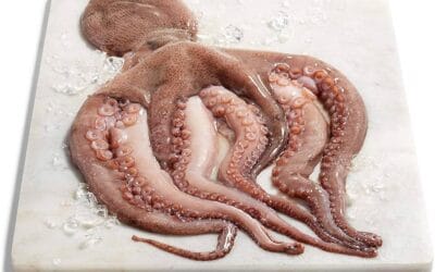 Traducciones de «pulpo» en otros idiomas: descubre las más comunes