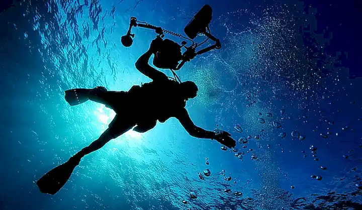 Utiliza técnicas de buceo o pesca submarina para llegar a las zonas donde se encuentran los pulpos