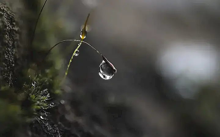Utiliza técnicas de pesca selectiva