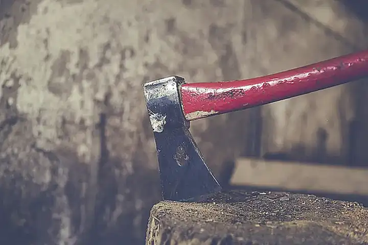 Utiliza un hacha para romper las ostras y obtener la carne