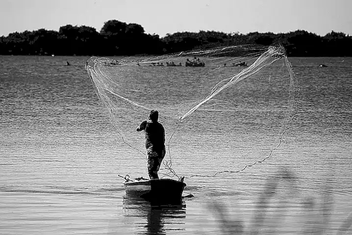 Utiliza una red de pesca adecuada para capturar los langostinos