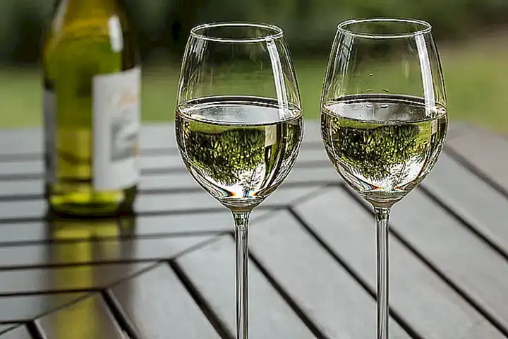 Vinos blancos jóvenes y afrutados